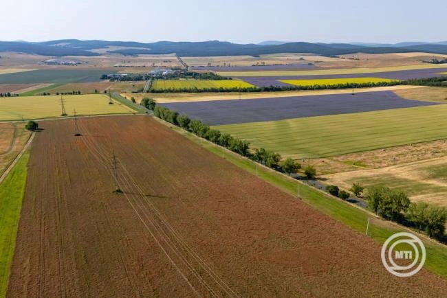 Újabb földterületek megvásárlására nyílik lehetőség