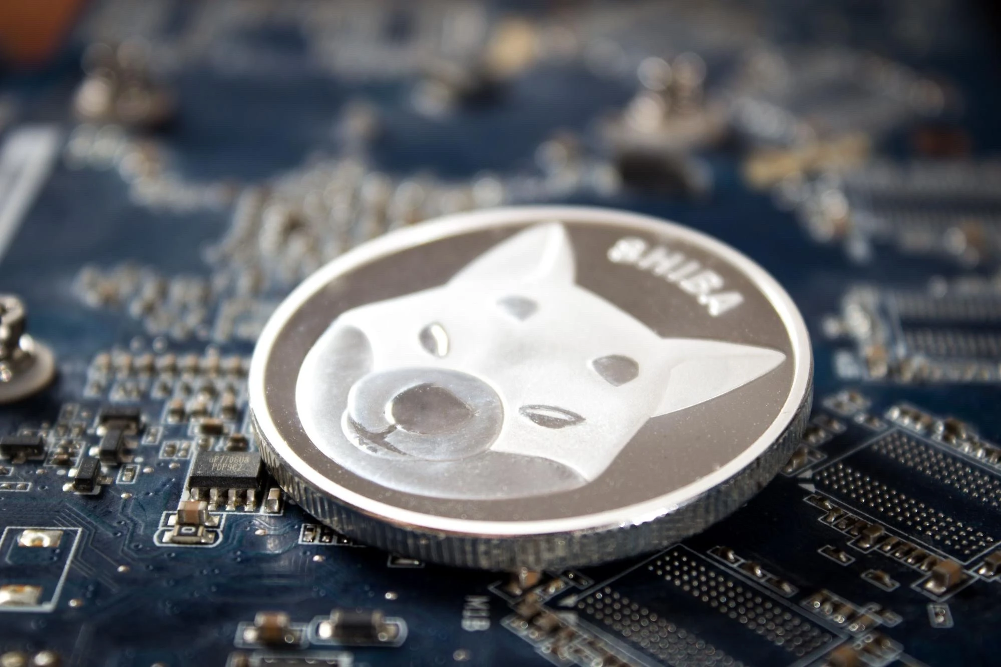 A következő nagy altcoin a Shiba Inu és a Cardano után? Az elemzők a Digitapra fogadnak
