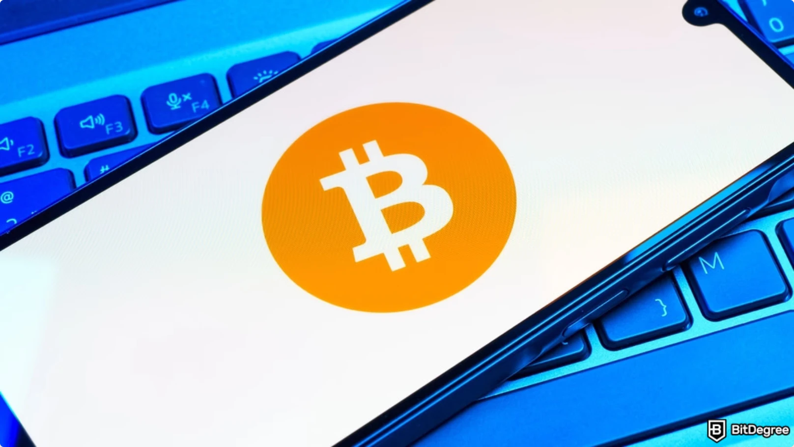 A Bitcoin hozamai erősek lesznek, de „nem látványosak” a következő évtizedben – mondja a Bitwise, miközben a Digitap ($TAP) még csak most indul