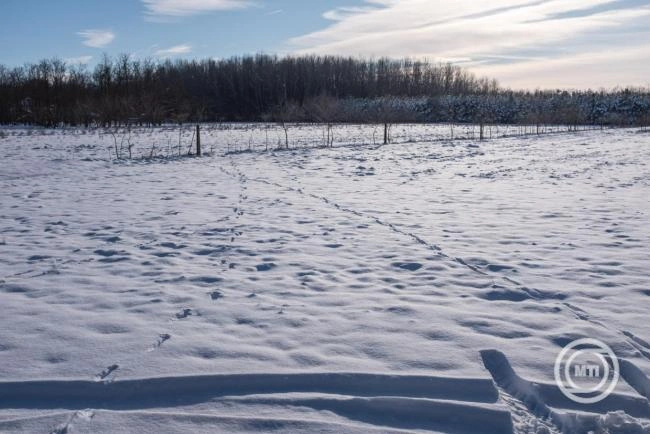 Enyhít szorításán a fagy és többfelé várható csapadék a hétvégén