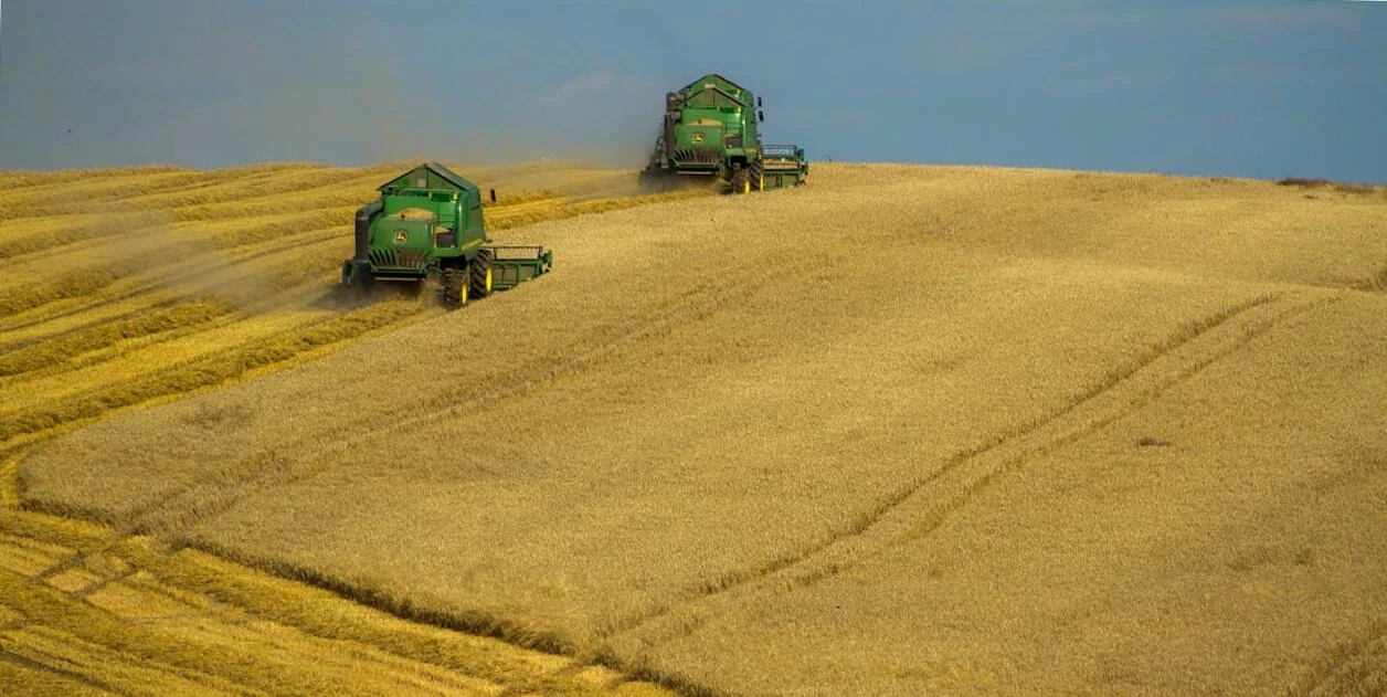 Miért fontos a gabonaszárító teljesítménye?