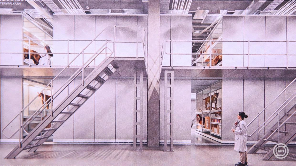 Kihirdették a Magyar Természettudományi Múzeum gyűjteményi központjára kiírt építészeti tervpályázat nyerteseit