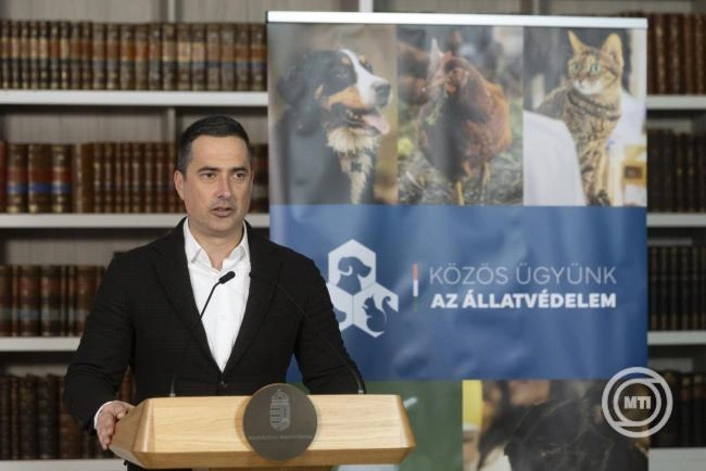 Állatvédelmi ösztöndíjprogram indul állatotthon-vezető és állatgondozó képzésre