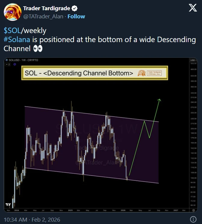 Trader Tardigrade Solana árfolyam elemzése