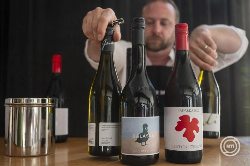A piacépítés a legfontosabb a bormarketingért felelős kormánybiztos szerint