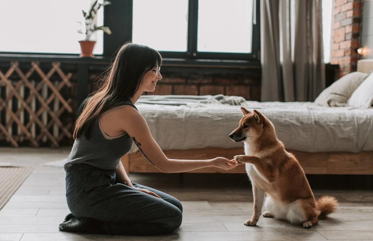 Szobakennel: büntetés vagy biztonságos menedék?