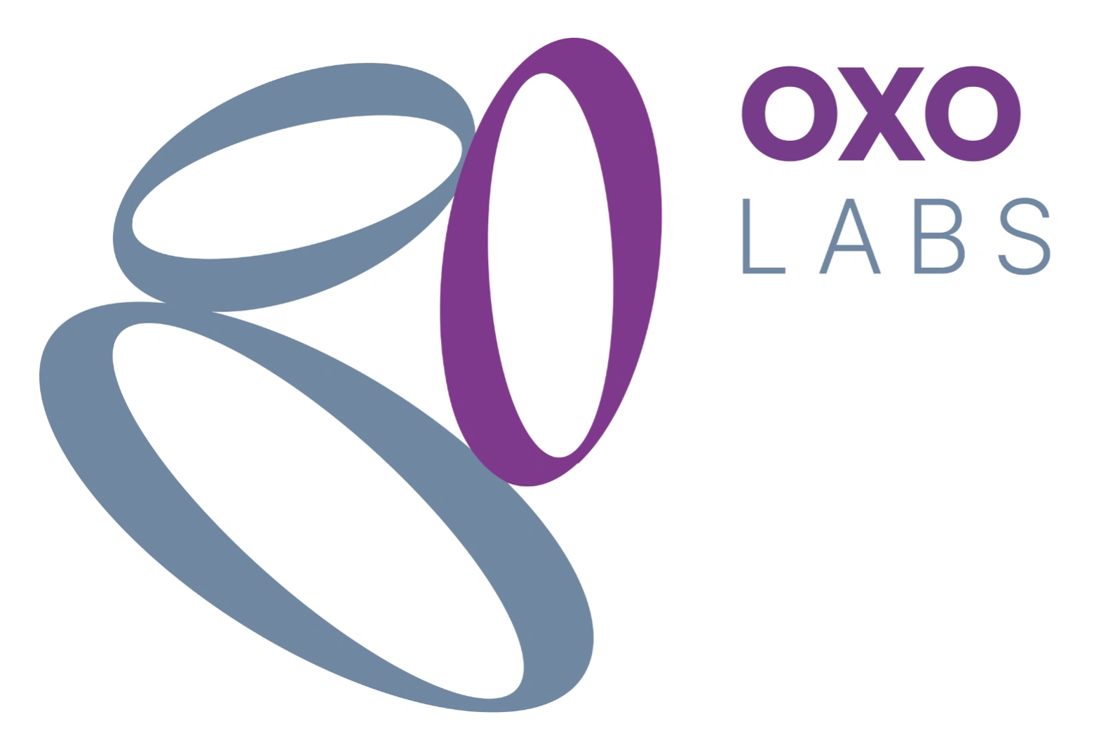 Társbefektetésekkel és új portfóliócégekkel zárta a 2025-ös évet az OXO Labs Zrt.