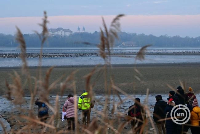 Megújulnak ez erdők a tatai Öreg-tó körül