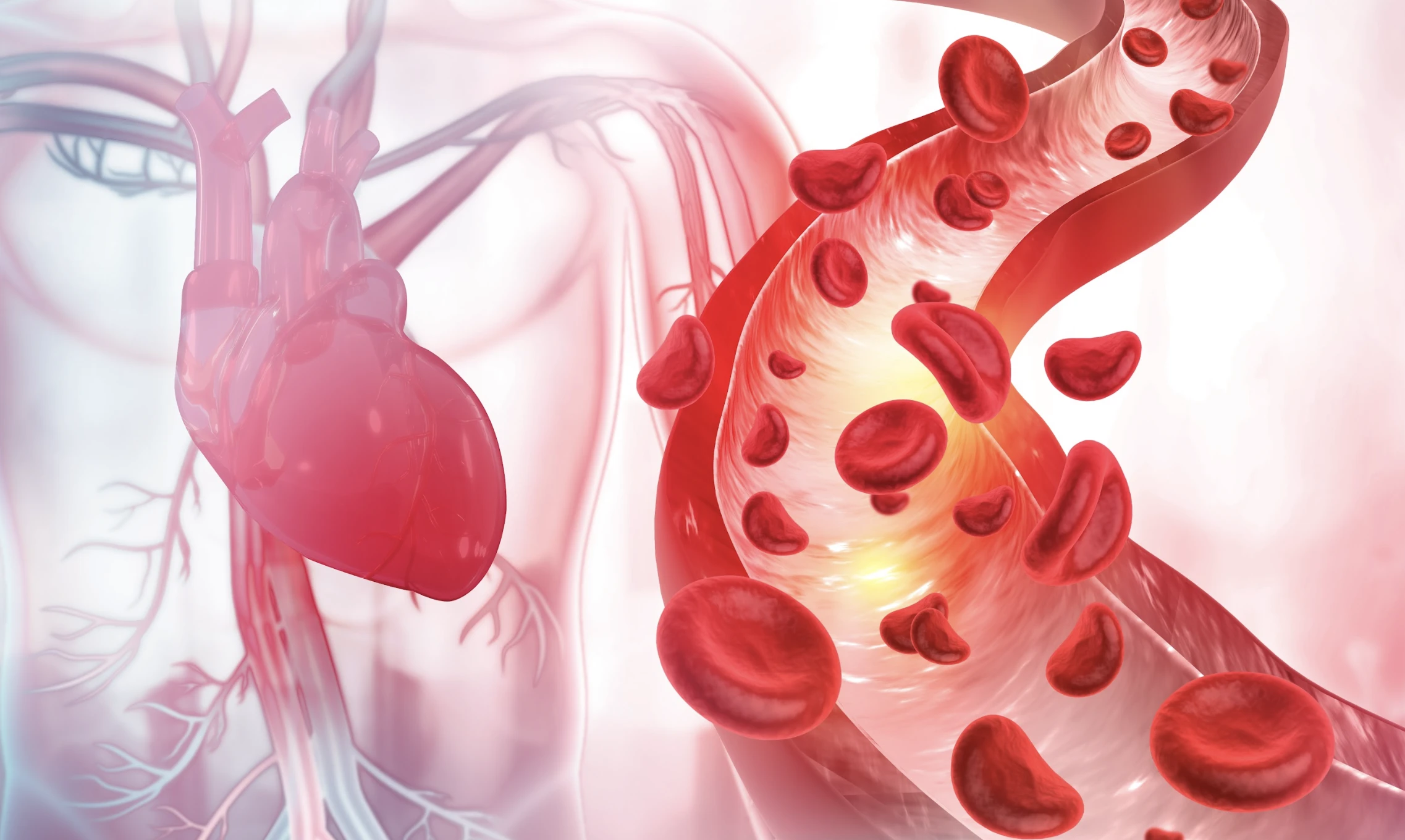 Koleszterin, vérnyomás: rendben! De mi a helyzet a vérzsírral? 