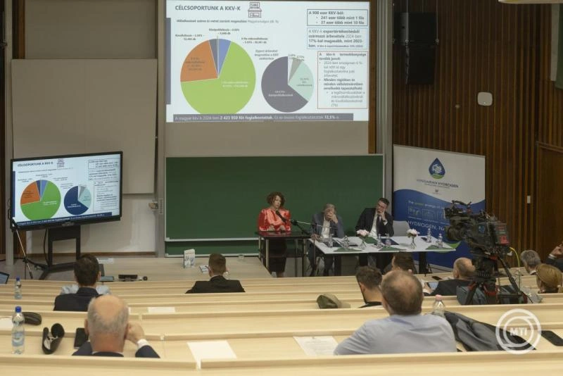 A több mint 10 fős cégek húzzák a kkv-szektort