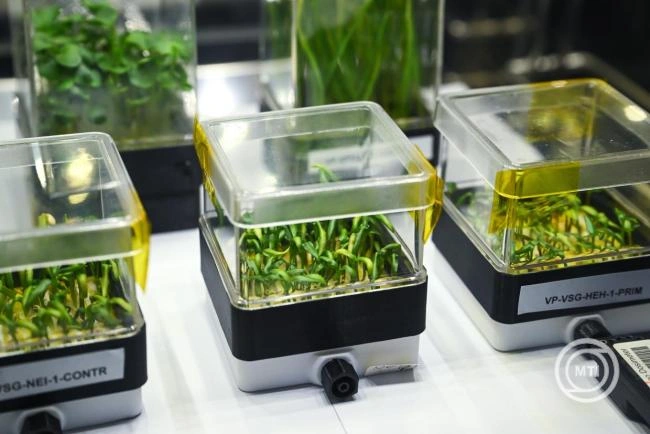 Hazatértek az első magyar űrnövénykísérlet mintái Debrecenbe