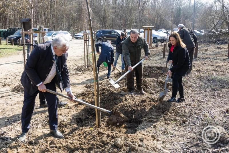 A hazai erdőgazdálkodás aktívan reagál a klímaváltozás kihívásaira