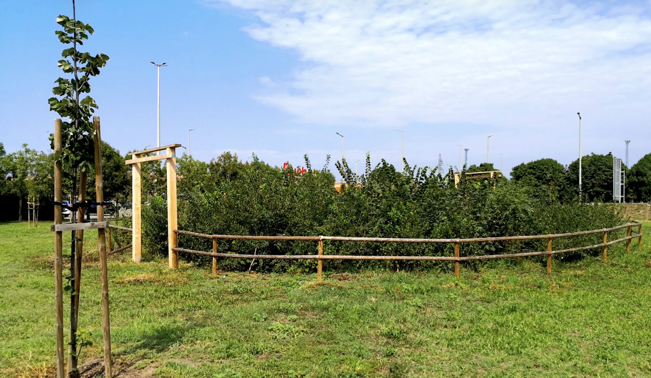 Magyarország első Miyawaki-minierdő konferenciáját rendezi meg a 10 millió Fa