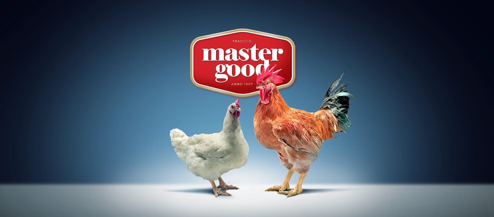 350 milliárd forintos ötéves fejlesztési programmal lép új szintre a Master Good,  nyár végén indul az új sárvári üzem