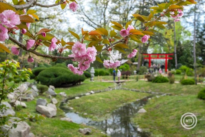Nem tart sokáig a meleg, tavaszias idő