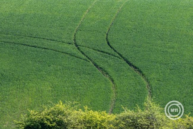 Az ukrán mezőgazdasági termékek importtilalmát sürgeti az agrárkamara
