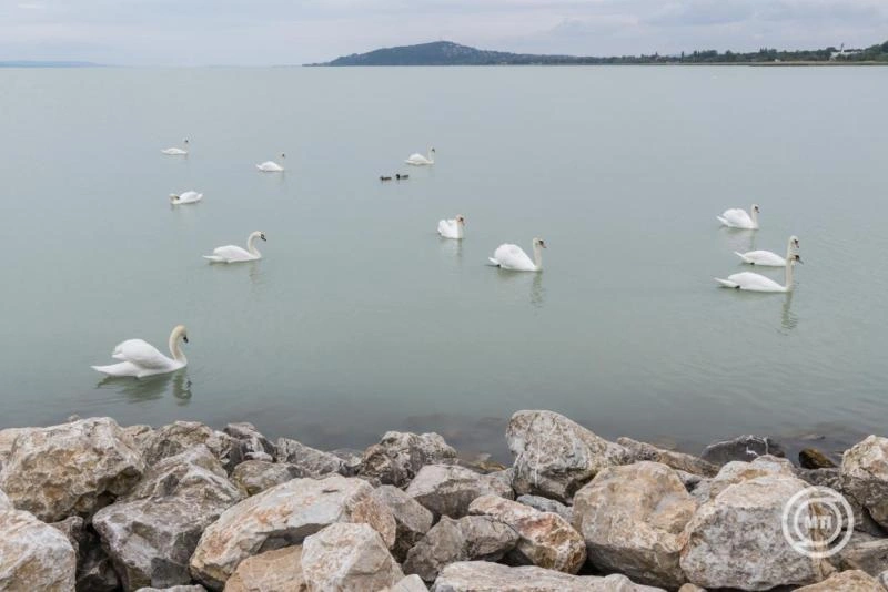 A Balaton önálló régióként való fejlesztését sürgeti a gazdasági és energetikai miniszterhez írt levelében a Balatoni Kör Egyesület