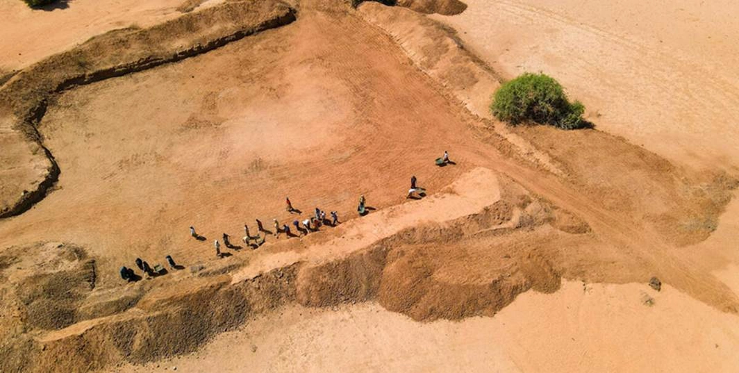A FAO és a WFP közös felhívása 8,8 millió ember védelmére